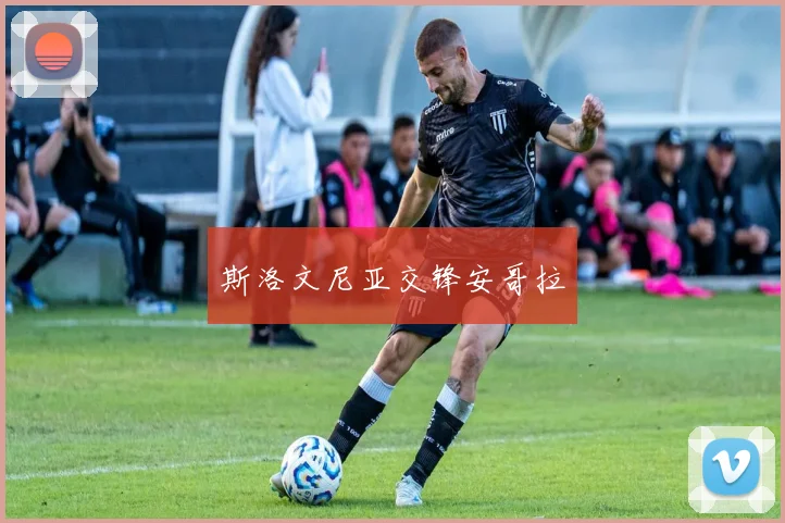 斯洛文尼亚交锋安哥拉