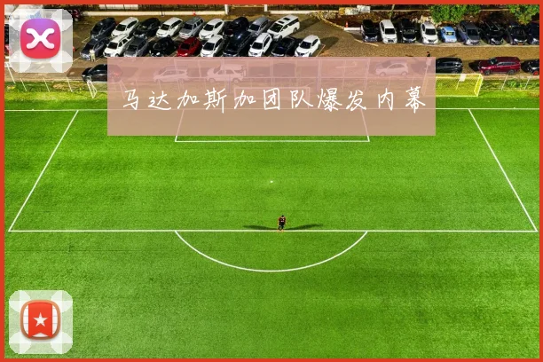 马达加斯加团队爆发内幕