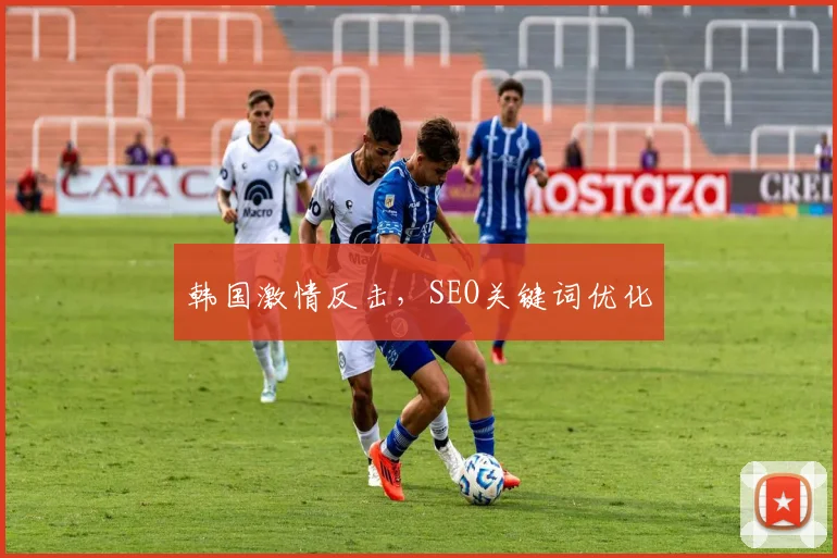 韩国激情反击，SEO关键词优化