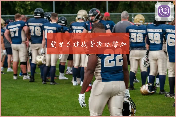 爱尔兰迎战哥斯达黎加