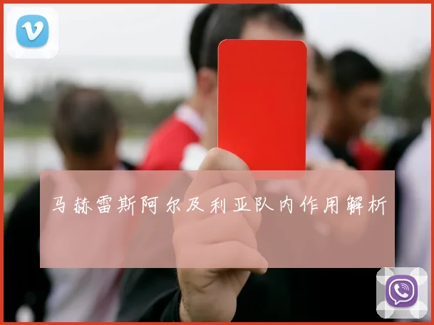 马赫雷斯阿尔及利亚队内作用解析