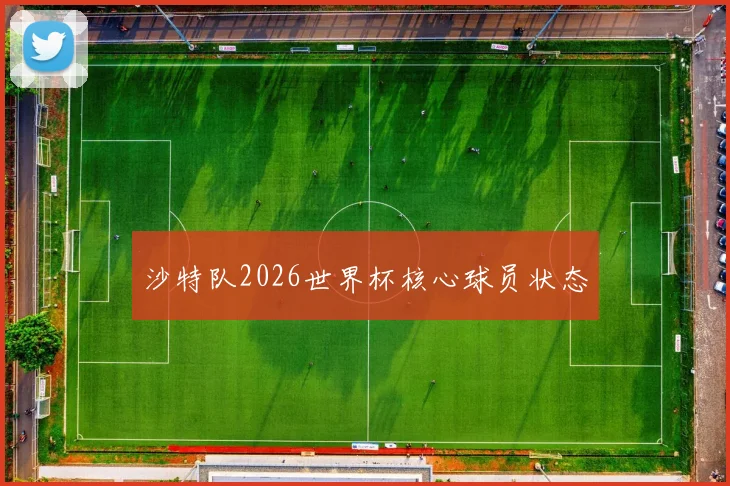 沙特队2026世界杯核心球员状态
