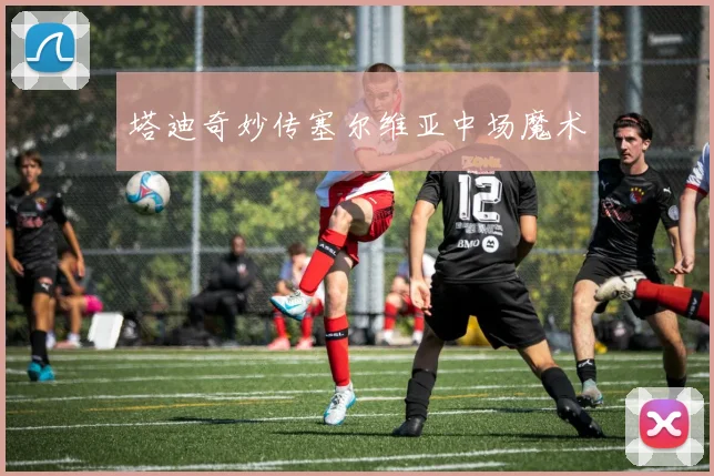 塔迪奇妙传塞尔维亚中场魔术
