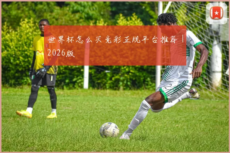 世界杯怎么买竞彩正规平台推荐｜2026版