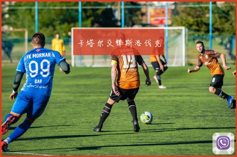 卡塔尔交锋斯洛伐克