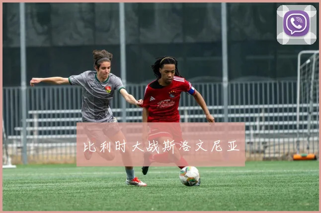 比利时大战斯洛文尼亚