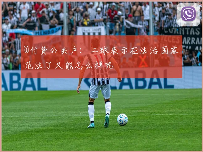 @付费公共户：二球表示在法治国家范法了又能怎么样呢