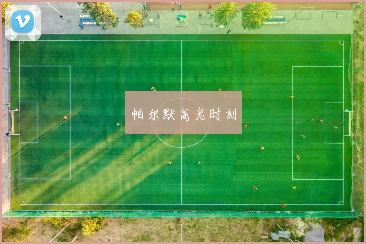 帕尔默高光时刻
