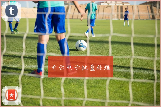 开云电子批量处理