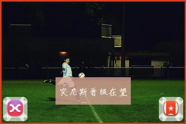 突尼斯晋级在望