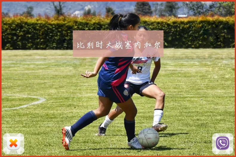 比利时大战塞内加尔