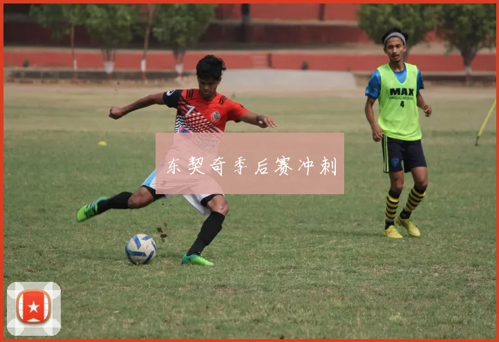东契奇季后赛冲刺
