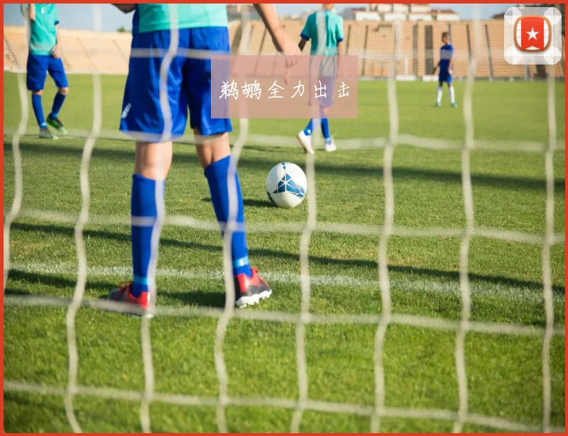 鹈鹕全力出击