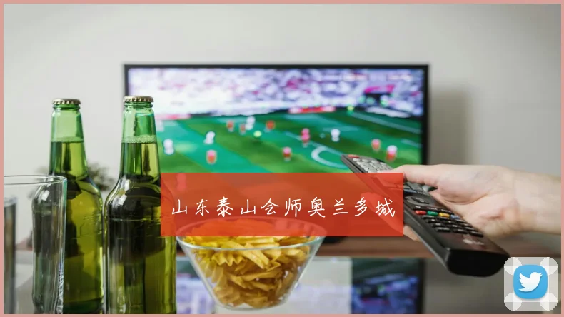 山东泰山会师奥兰多城