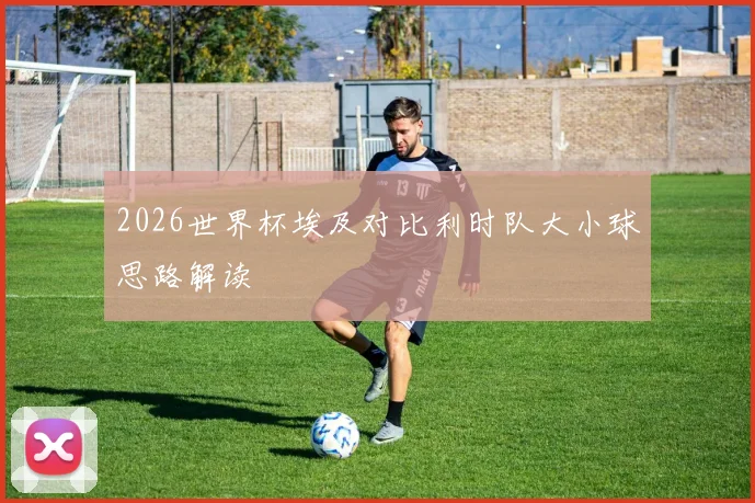 2026世界杯埃及对比利时队大小球思路解读